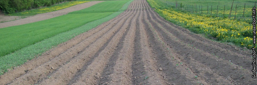 Großwaltersdorf im Erzgebirge