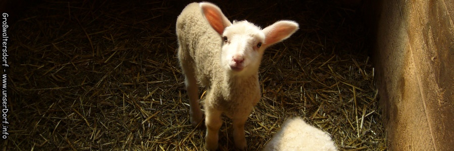 Großwaltersdorf im Erzgebirge