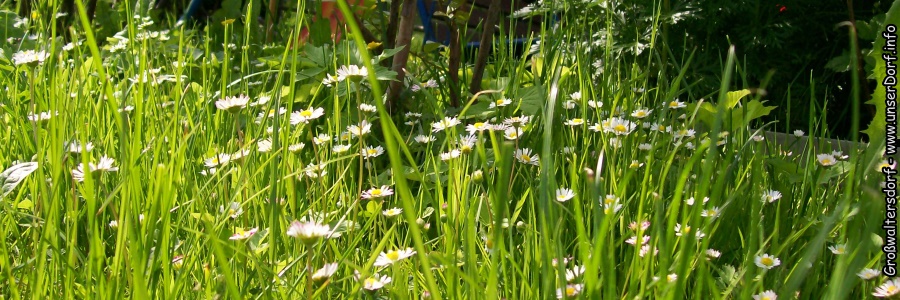 Großwaltersdorf im Erzgebirge