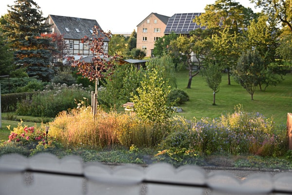 Blick aus dem Küchenfenster