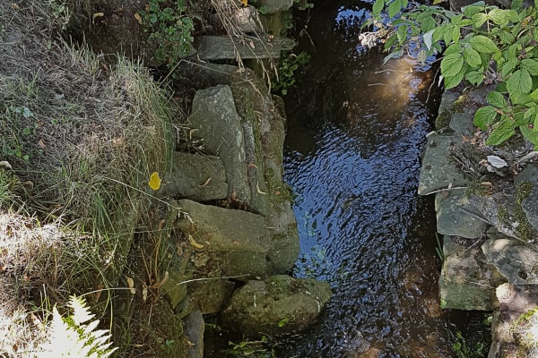 Sanierung einer Trockenmauer