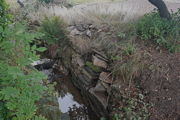 Sanierung einer Trockenmauer