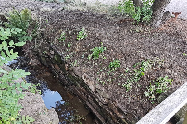 Sanierung einer Trockenmauer