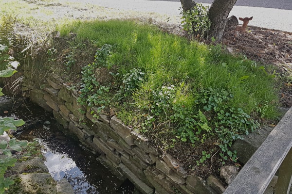 Sanierung einer Trockenmauer